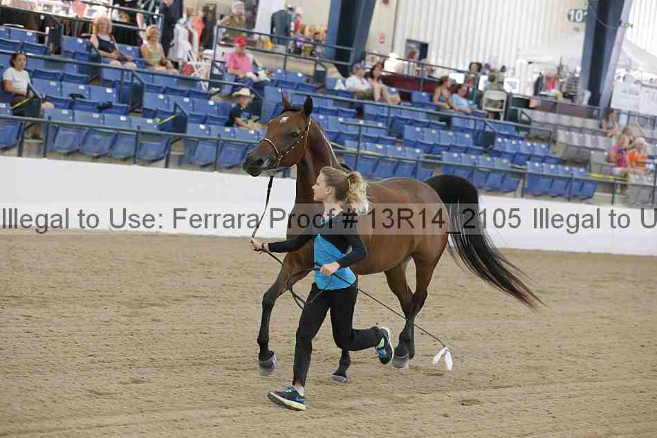 Proof Number 13r14_2105
