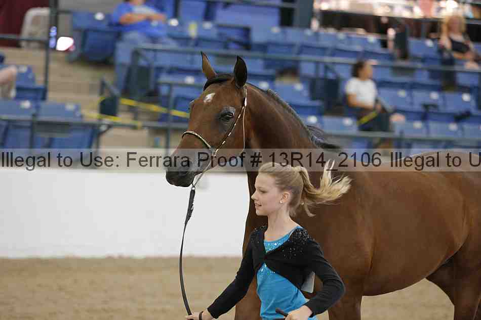 Proof Number 13r14_2106