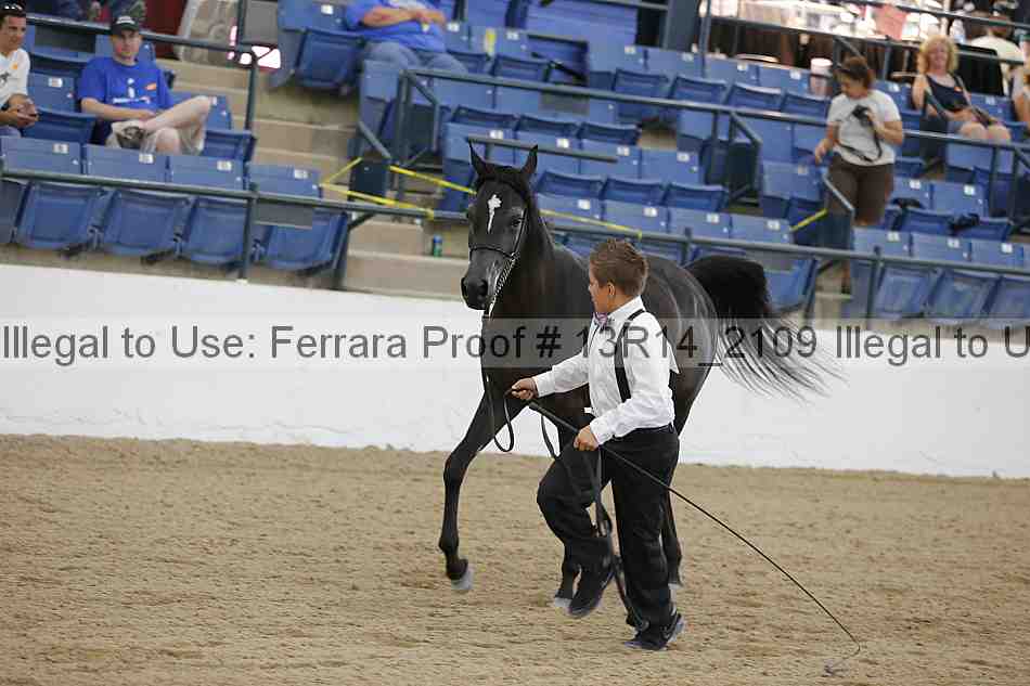 Proof Number 13r14_2109