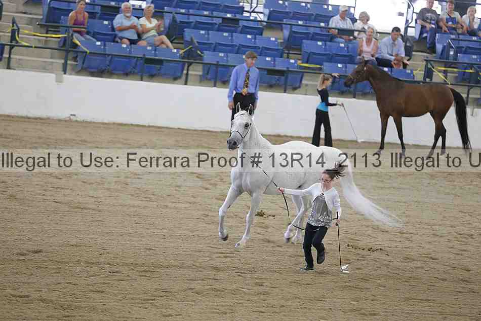 Proof Number 13r14_2113