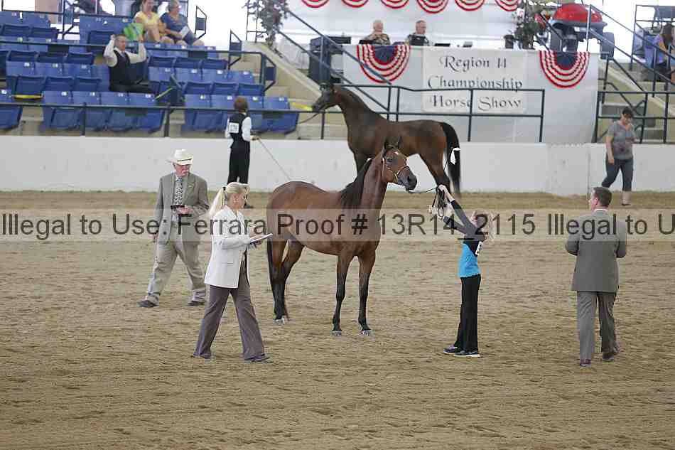 Proof Number 13r14_2115