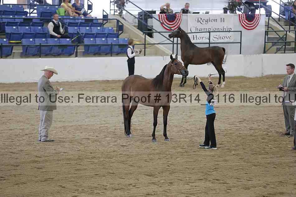 Proof Number 13r14_2116
