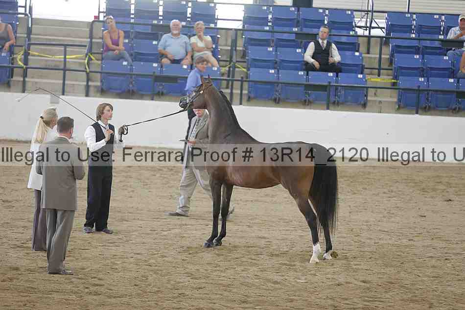 Proof Number 13r14_2120