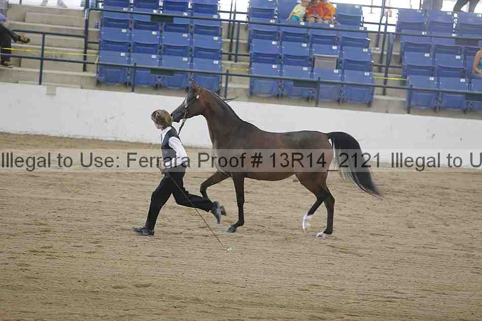 Proof Number 13r14_2121