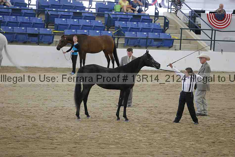 Proof Number 13r14_2124