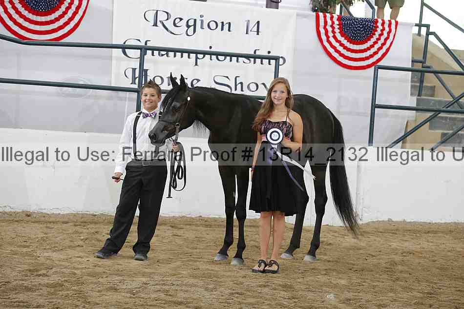 Proof Number 13r14_2132