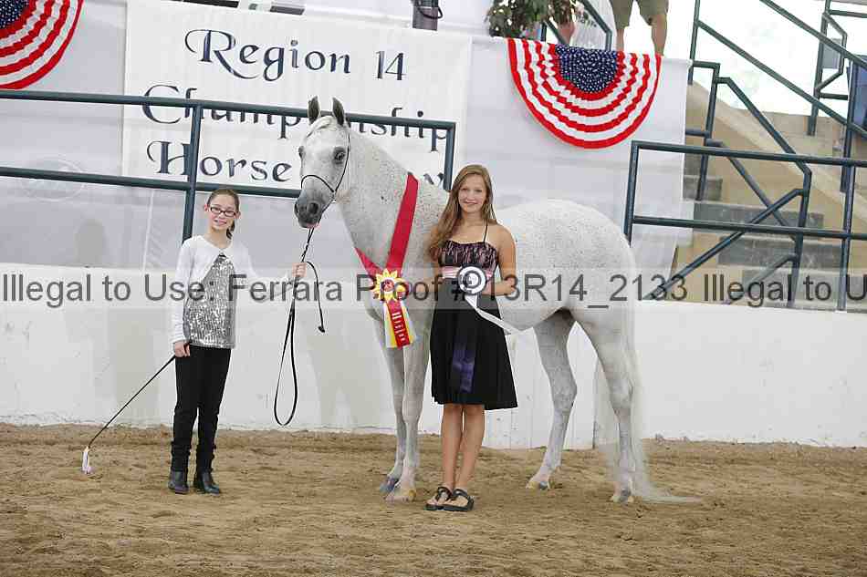 Proof Number 13r14_2133