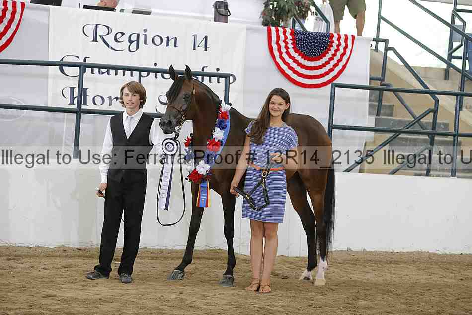 Proof Number 13r14_2135