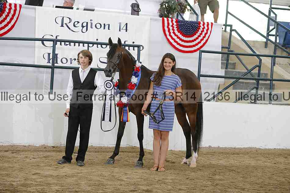 Proof Number 13r14_2136