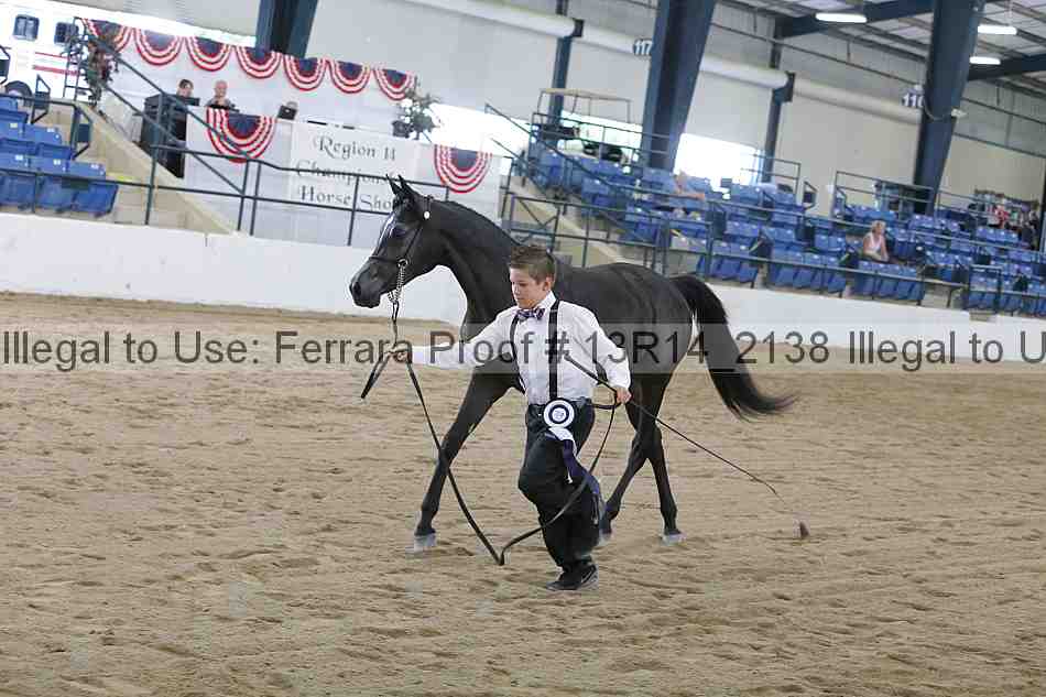 Proof Number 13r14_2138