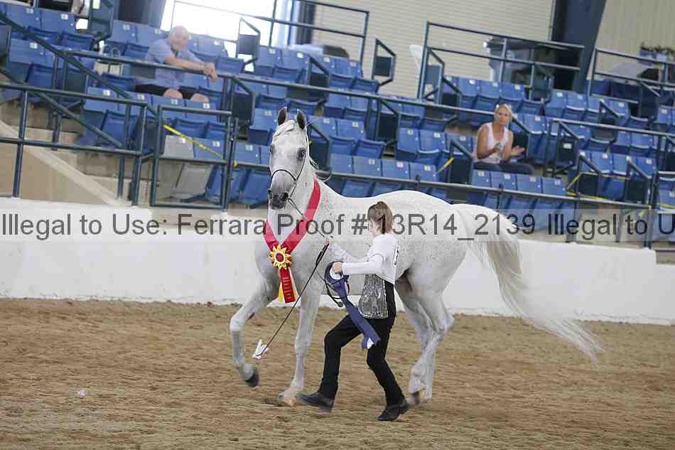 Proof Number 13r14_2139