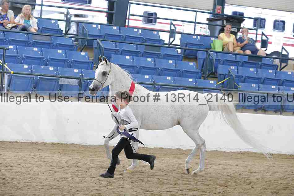 Proof Number 13r14_2140