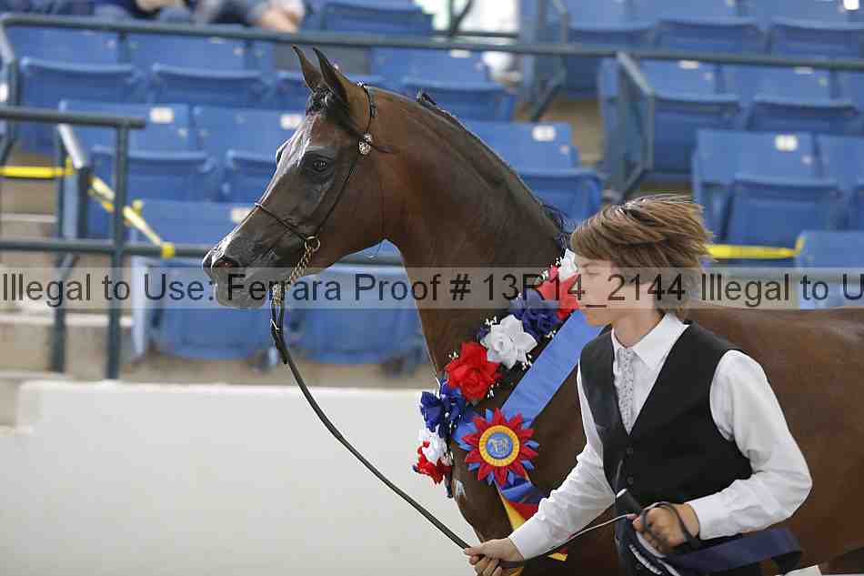 Proof Number 13r14_2144