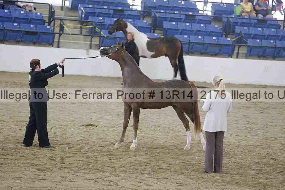 Proof Number 13r14_2175