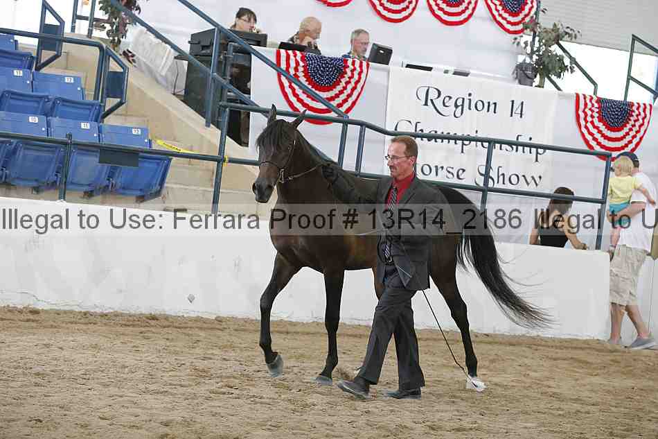 Proof Number 13r14_2186