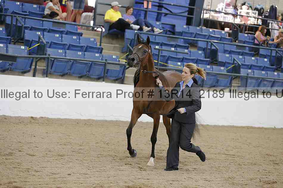 Proof Number 13r14_2189