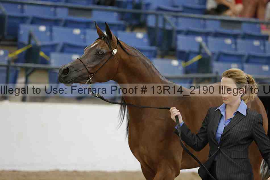 Proof Number 13r14_2190