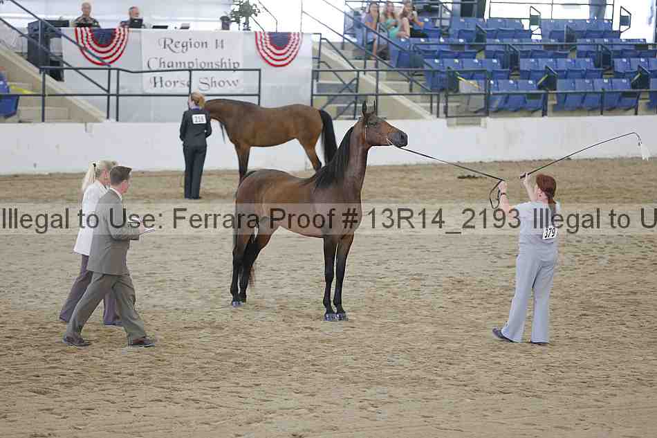 Proof Number 13r14_2193