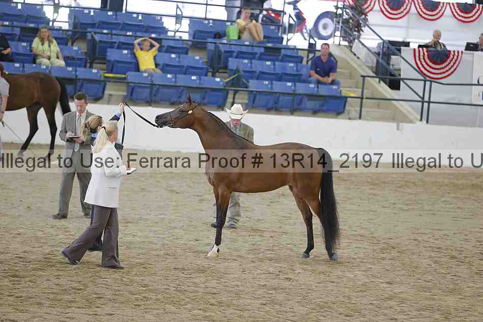 Proof Number 13r14_2197