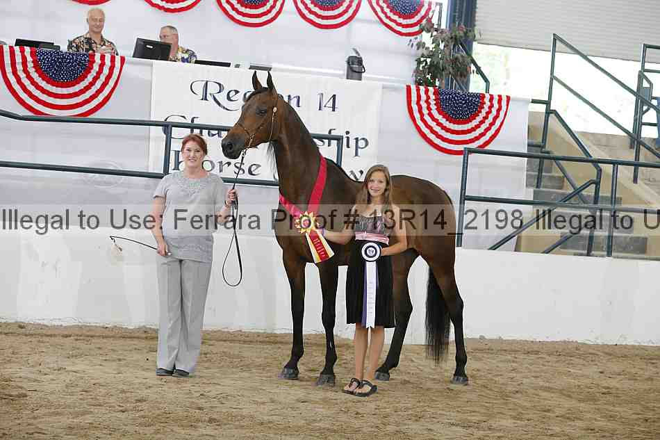 Proof Number 13r14_2198