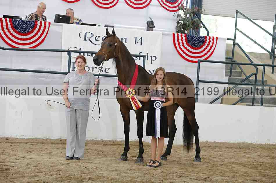 Proof Number 13r14_2199