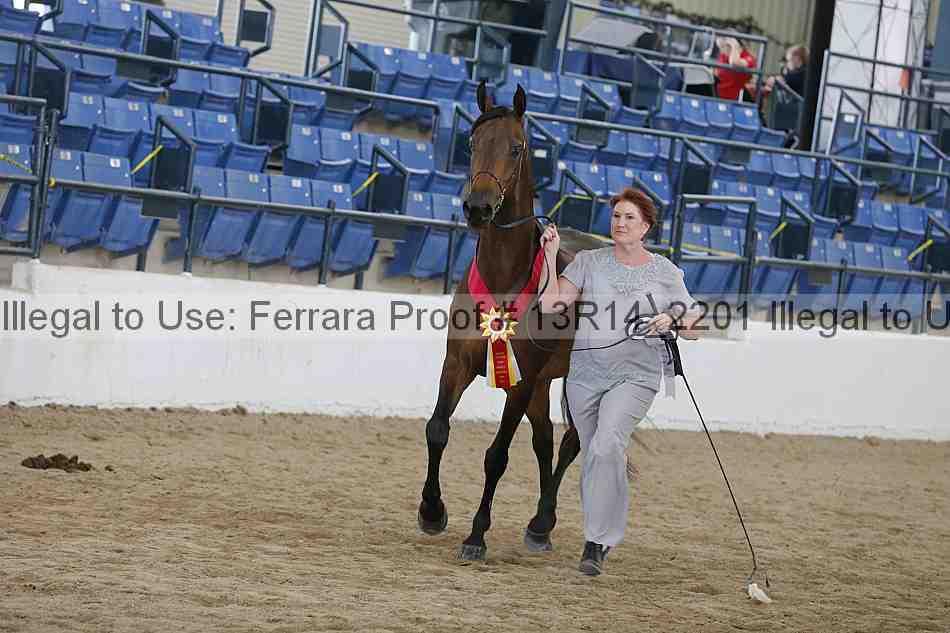 Proof Number 13r14_2201