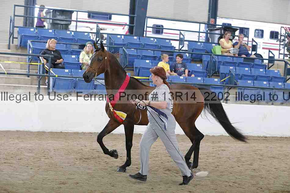 Proof Number 13r14_2202