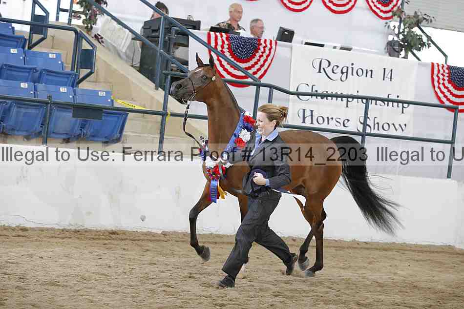 Proof Number 13r14_2203
