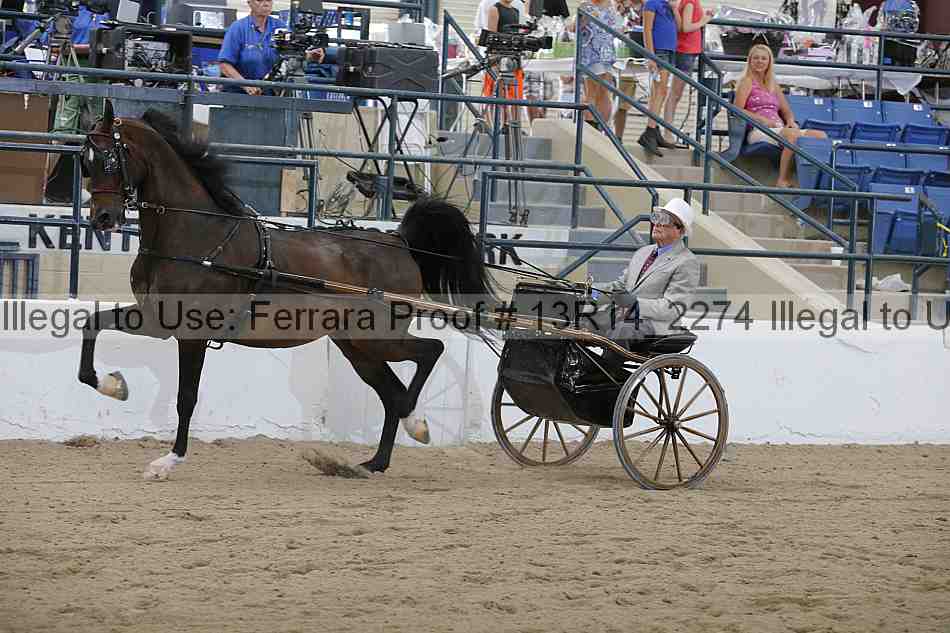 Proof Number 13r14_2274