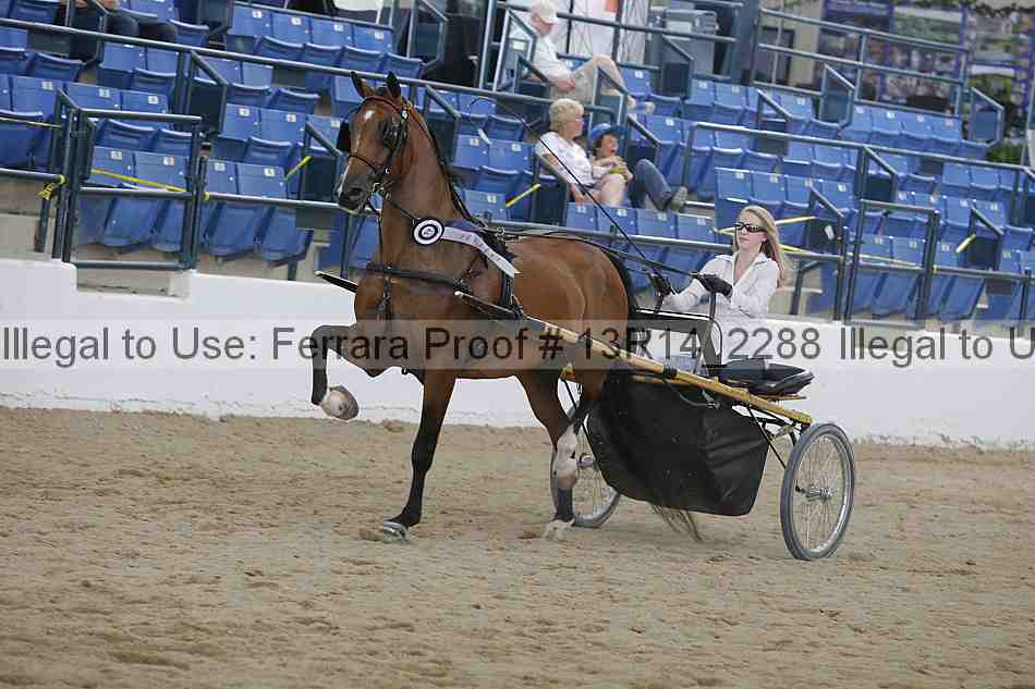 Proof Number 13r14_2288