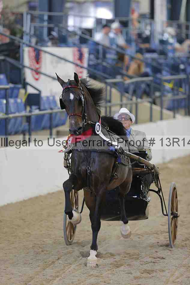 Proof Number 13r14_2294