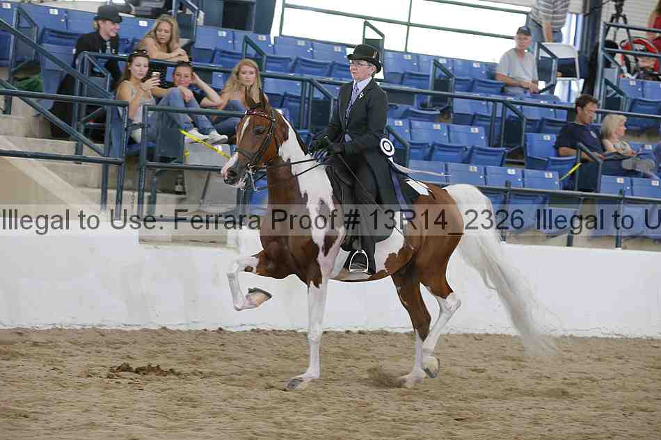 Proof Number 13r14_2326