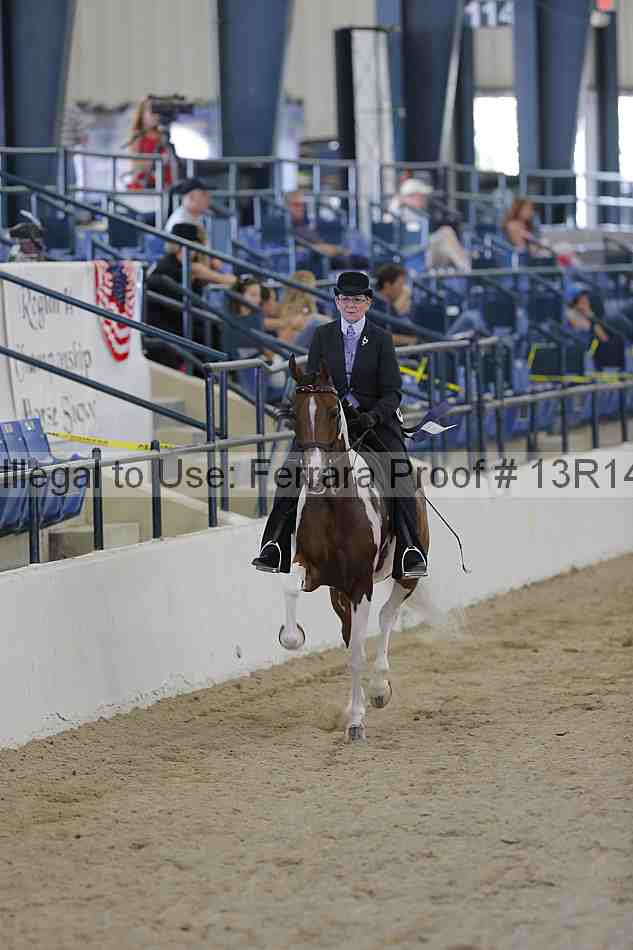 Proof Number 13r14_2330