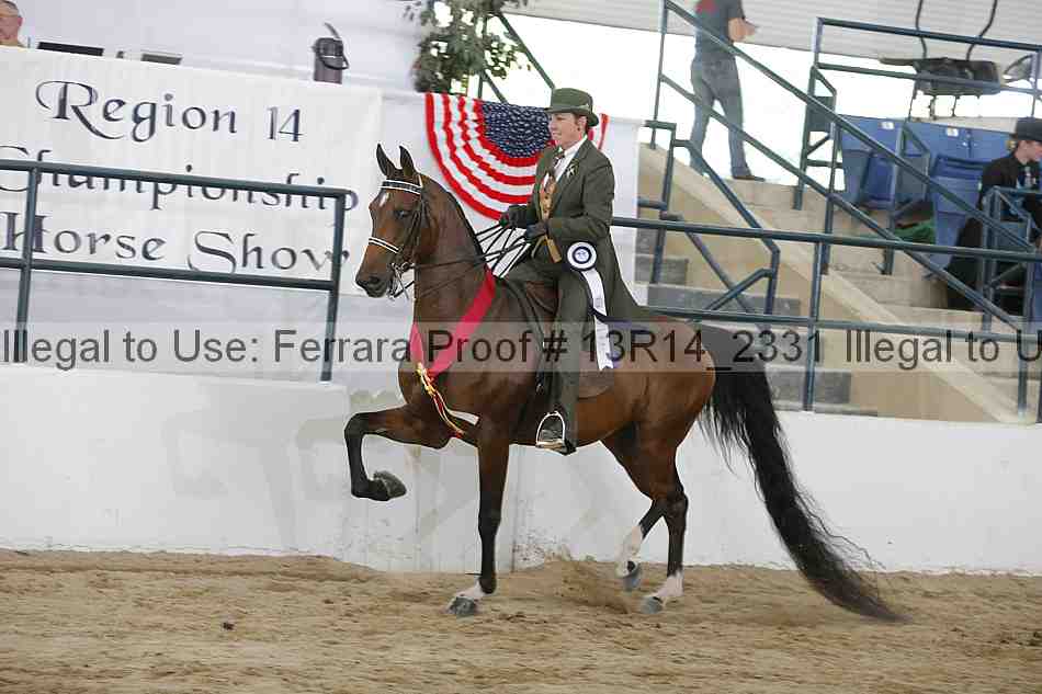 Proof Number 13r14_2331