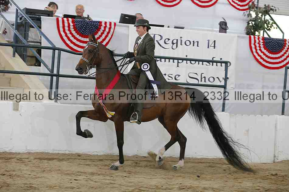 Proof Number 13r14_2332