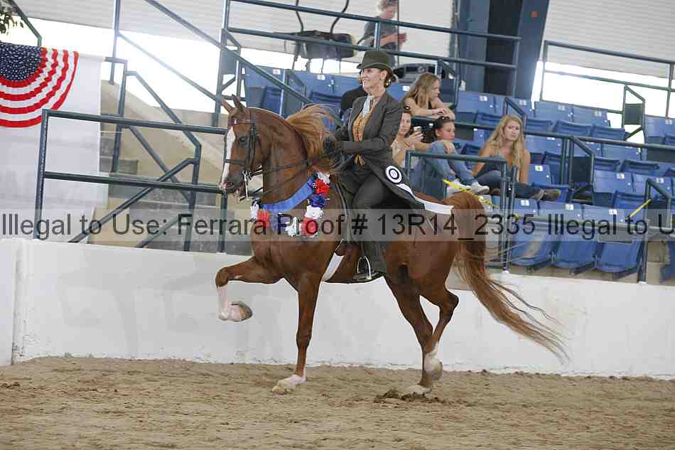 Proof Number 13r14_2335