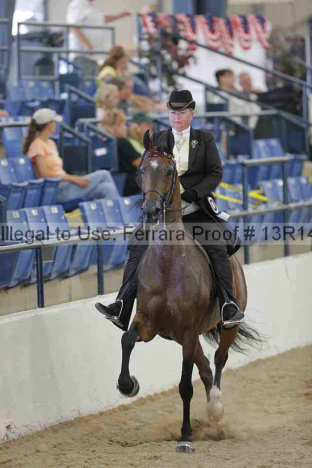 Proof Number 13r14_2338