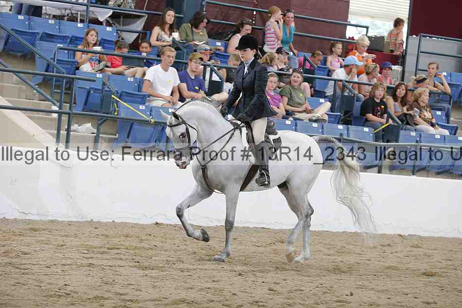 Proof Number 13r14_2343
