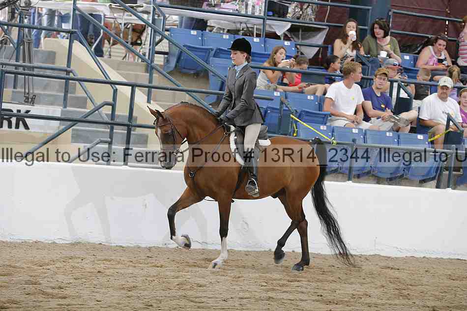 Proof Number 13r14_2344