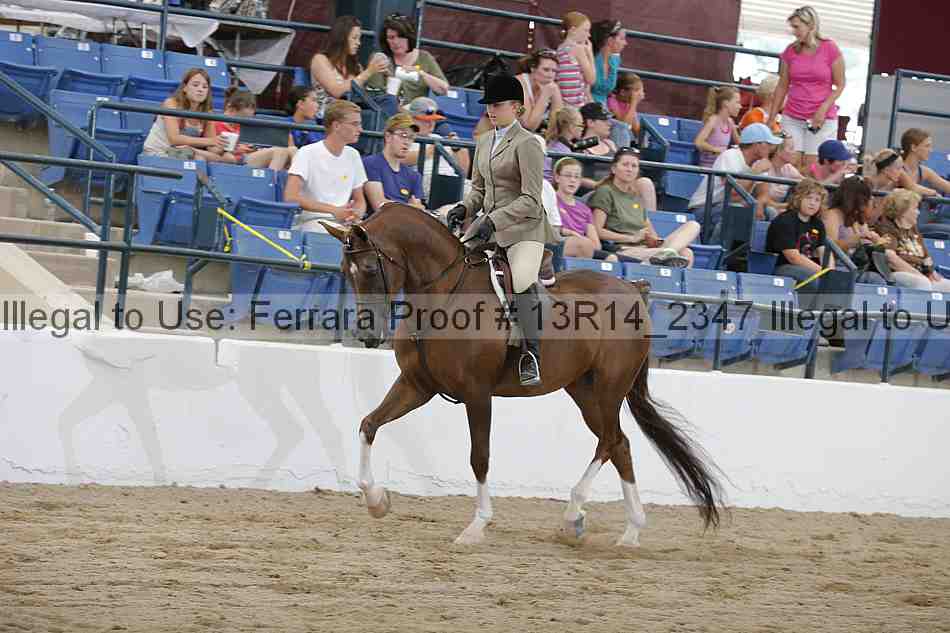 Proof Number 13r14_2347