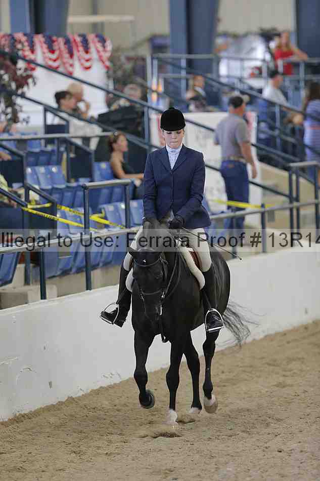 Proof Number 13r14_2356
