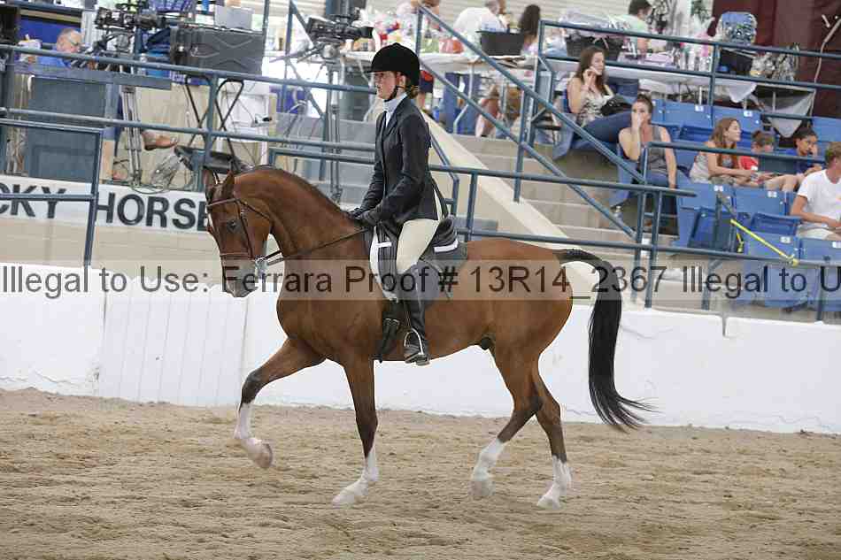 Proof Number 13r14_2367