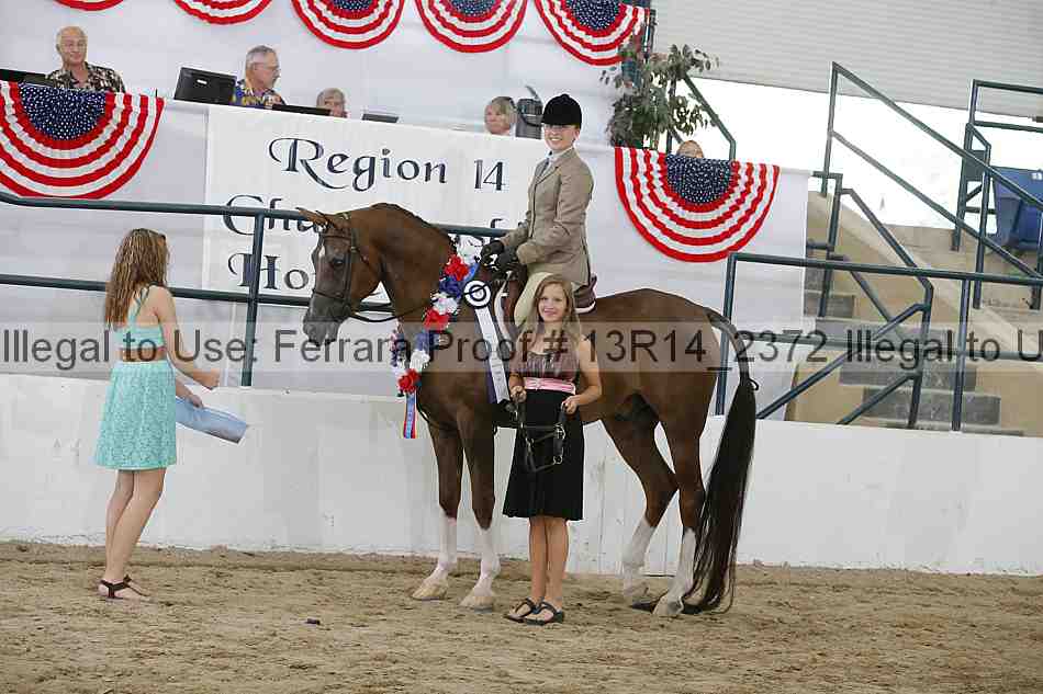 Proof Number 13r14_2372