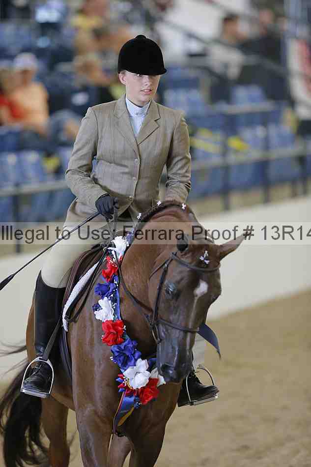 Proof Number 13r14_2376