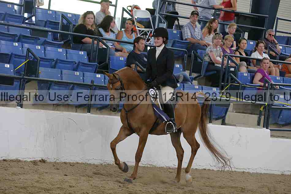 Proof Number 13r14_2379