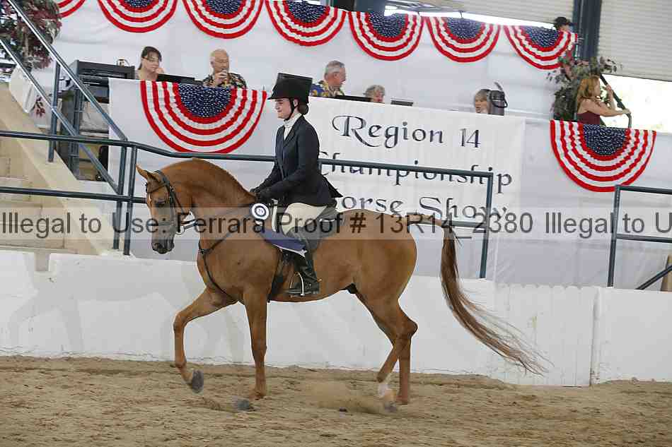 Proof Number 13r14_2380