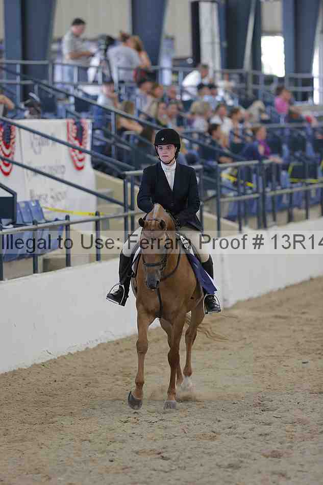 Proof Number 13r14_2382
