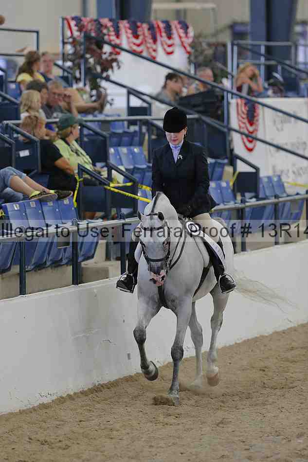 Proof Number 13r14_2388