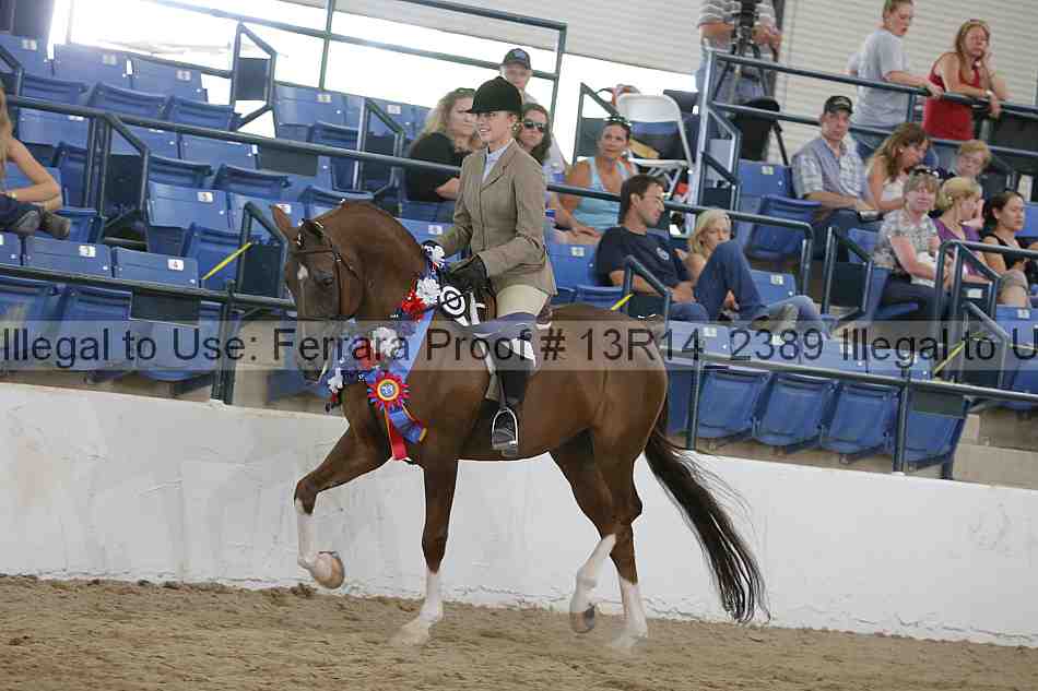 Proof Number 13r14_2389