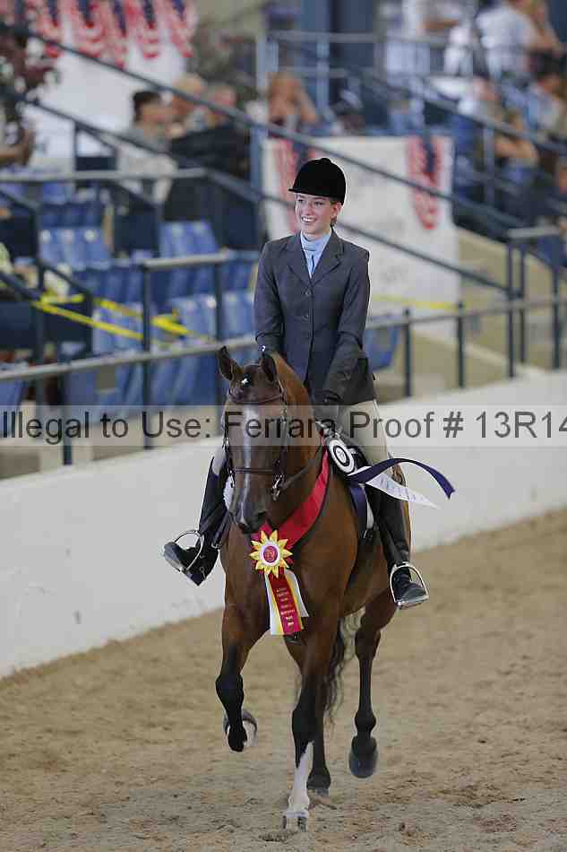 Proof Number 13r14_2392